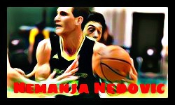 ネマニャ・ネドビッチ